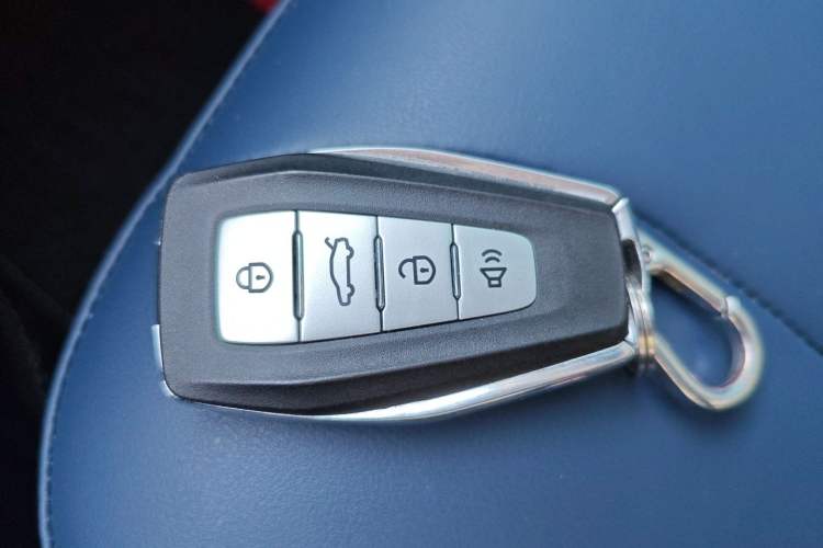 Used Geometry E Firefly 2022 401 km Linglong Tiger 4 Seats