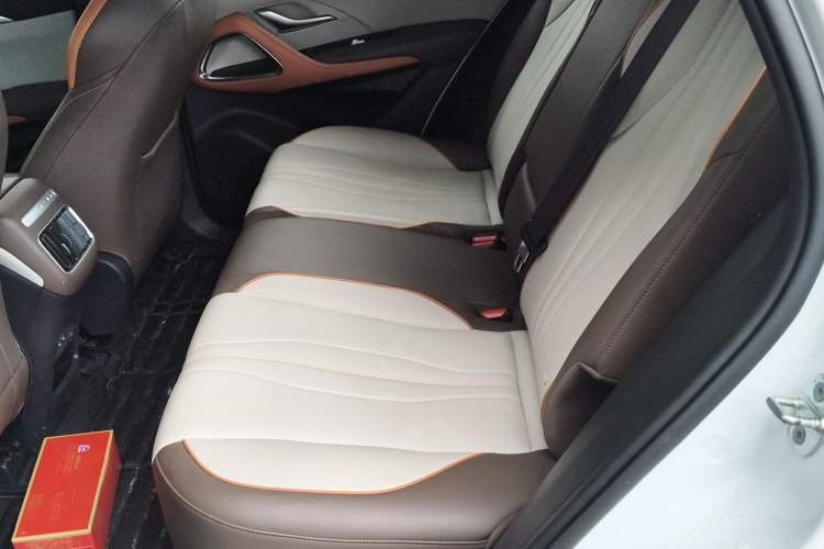 Used BYD Song Pro New Energy 2022 DM-i 51km Luxury Model Left Rear Seat