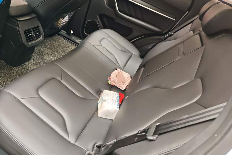 Used Haval H6 2017 Red-Label 1.5T Automatic Two-Wheel Drive Smart Edition Left Rear Seat