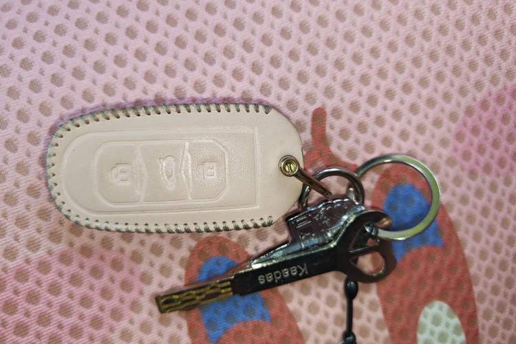 Used Geely Galaxy Panda 2023 Panda Mini 200km Endurance Bear