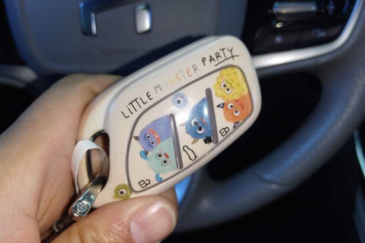 Used Rising ER6 2020 620 km Smart Edition