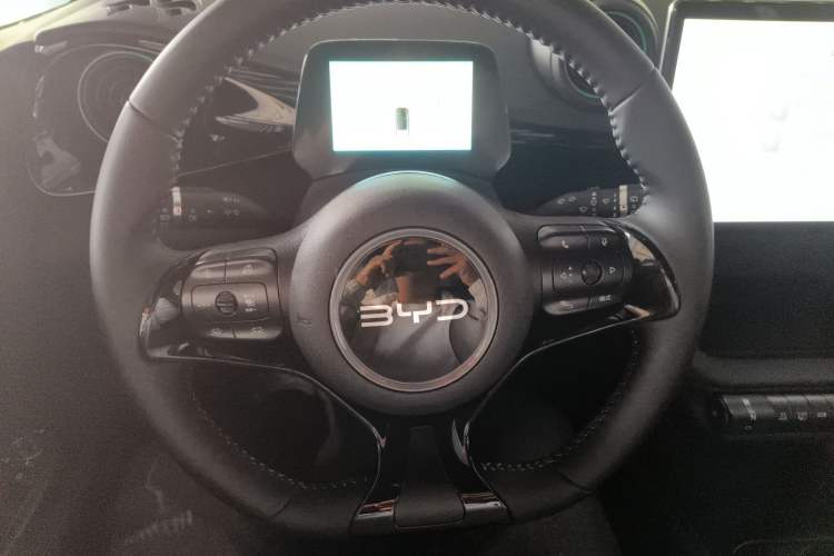 Used BYD Dolphin 2024 Honor Edition 401km Knight Edition
