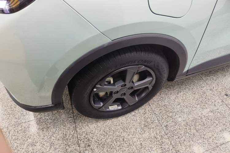 Used Geometry E Firefly 2022 401 km Linglong Tiger 4 Seats