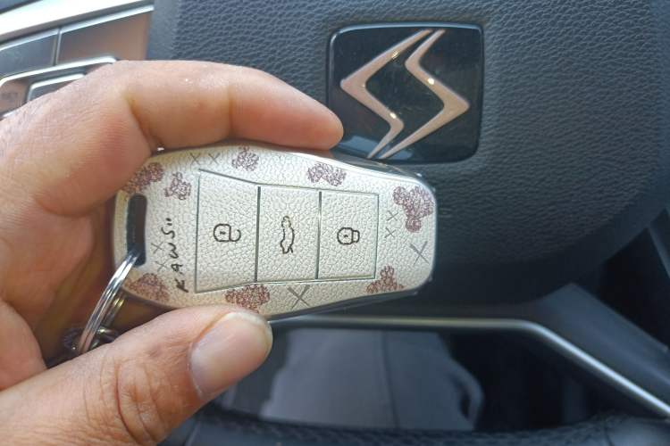 Used SOL E10X 2022 Flower Fairy Style Baby's Breath
