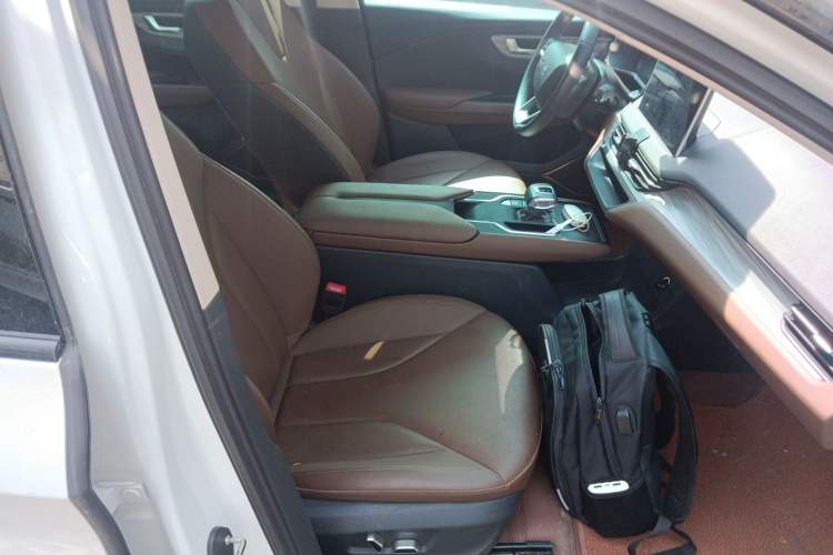 Used Hongqi E-QM5 2024 610 km PLUS Right Front Seat