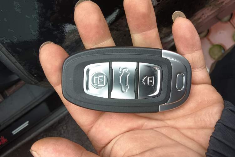 Used Hongqi E-QM5 2024 500km Range Edition Vehicle Key