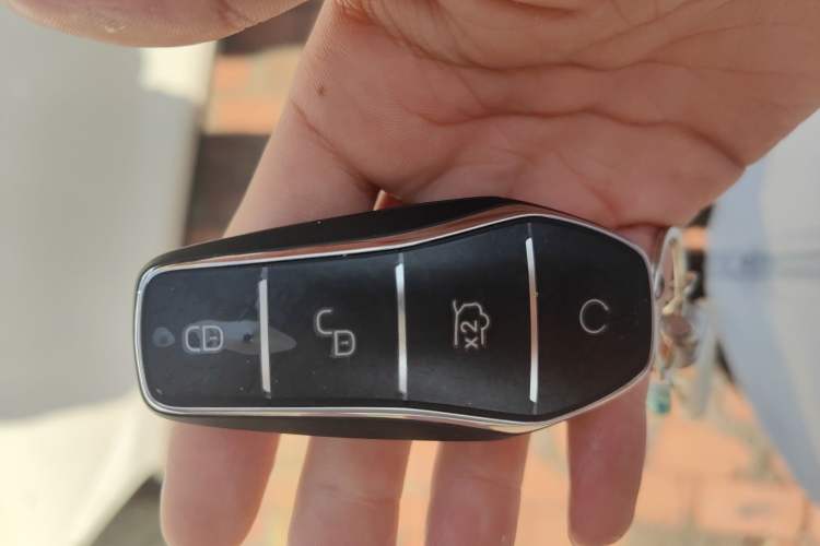 Used BYD Destroyer 05 2024 HONOR Edition DM-i 55KM Luxury Model
