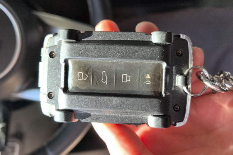 Used Tank 300 2024 2.0T Conqueror
