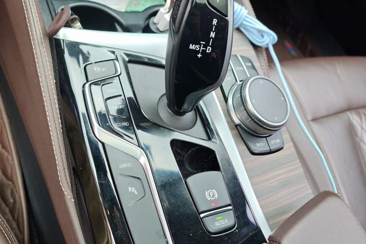 Used BMW 5 Series New Energy 2019 530Le Luxury Package