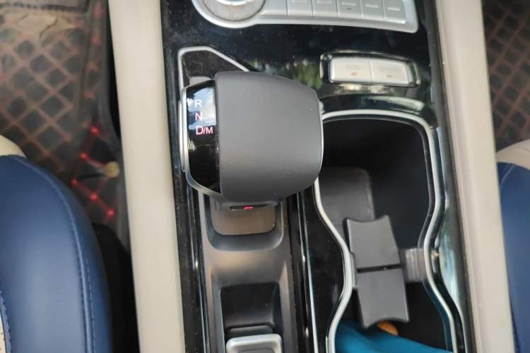 Used Foton General G9 2021 2.0T Armored Grand Commander Automatic 4x4 Leisure Edition Premium Standard Cab 4G20TI5 Gear Lever