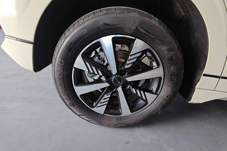 Used BYD e2 2023 Luxury Model