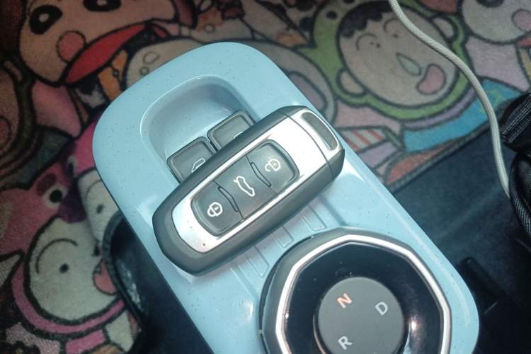 Used Geely Galaxy Panda 2024 Facelifted Panda Mini 200km Dragon Edition
