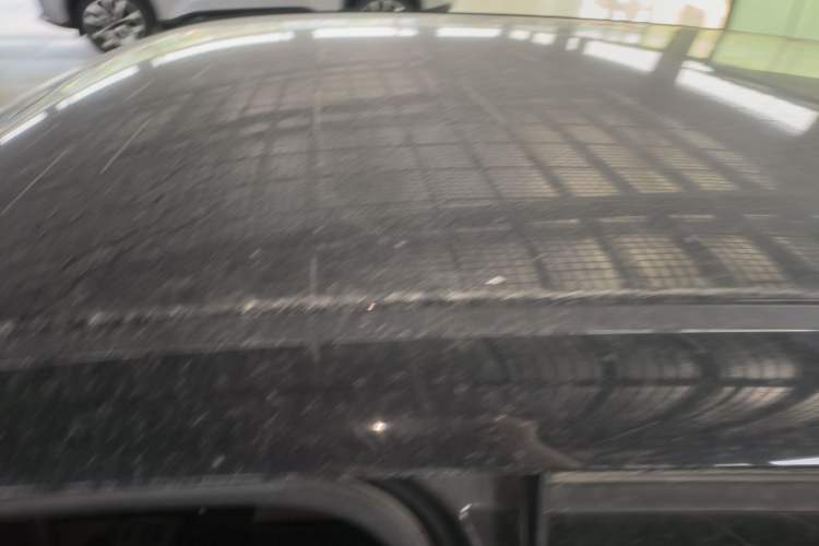 Used ORA Black Cat 2021 351 km Standard Version Roof