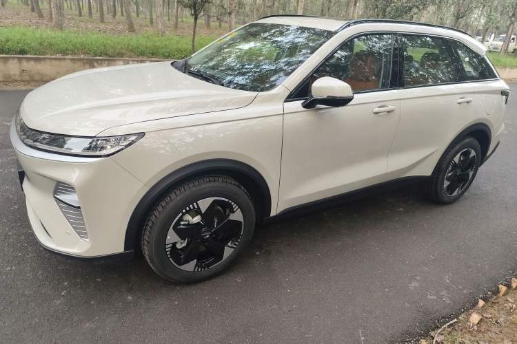 Used Haval Fierce Dragon Max 2025 Hi4 110 Pro
