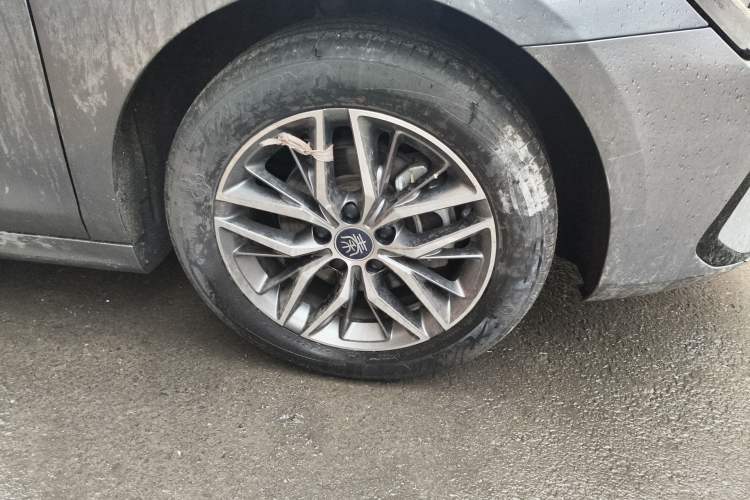 Used BYD Qin PLUS 2023 Champion Edition EV 420KM Leading Model Exterior 1