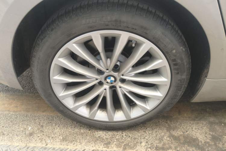 Used BMW 5 Series 2020 530Li Luxury Edition Premium Package