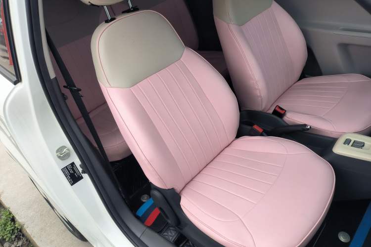 Used Qiyuan Lumin 2025 210 km Fragrant Edition
