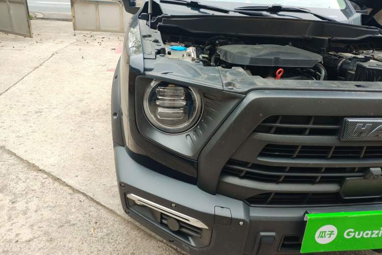 Used Haval DARGO 2024 2.0T DCT Chinese Rural Dog Edition