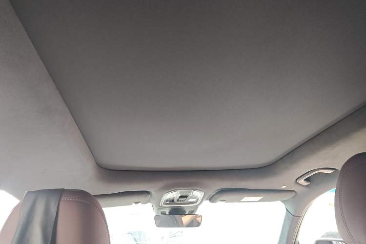 Used Geely Auto Monjaro L 2024 2.0TD High-Power Automatic Two-Wheel Drive Yunqi Version Headliner