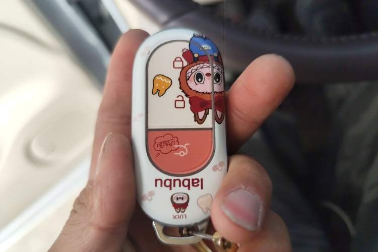 Used Leapmotor C11 2023 Pure Electric 500 Smart Edition Vehicle Key