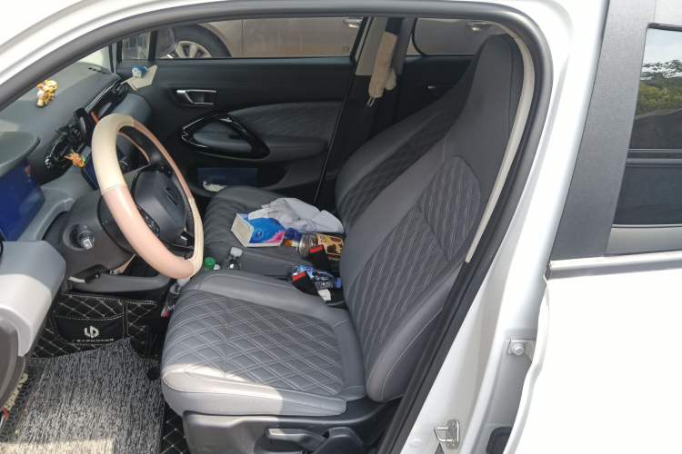 Used Leapmotor T03 2021 400 Luxury Edition Left Front Seat