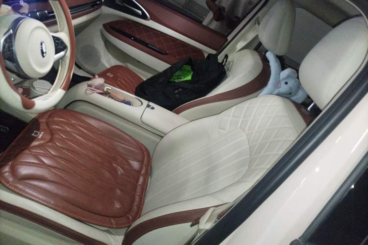 Used ORA Good Cat 2023 401 km Standard Range Prestige Version Lithium Iron Phosphate Left Front Seat