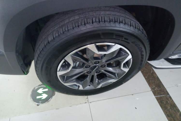 Used Haval DARGO 2022 2.0T DCT 4x4 Chinese Rural Dog Edition