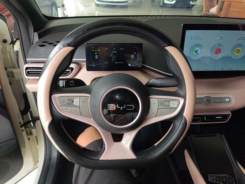 Used BYD Seagull 2025 Intelligent Driving Version 305 km Dynamic Edition — 10