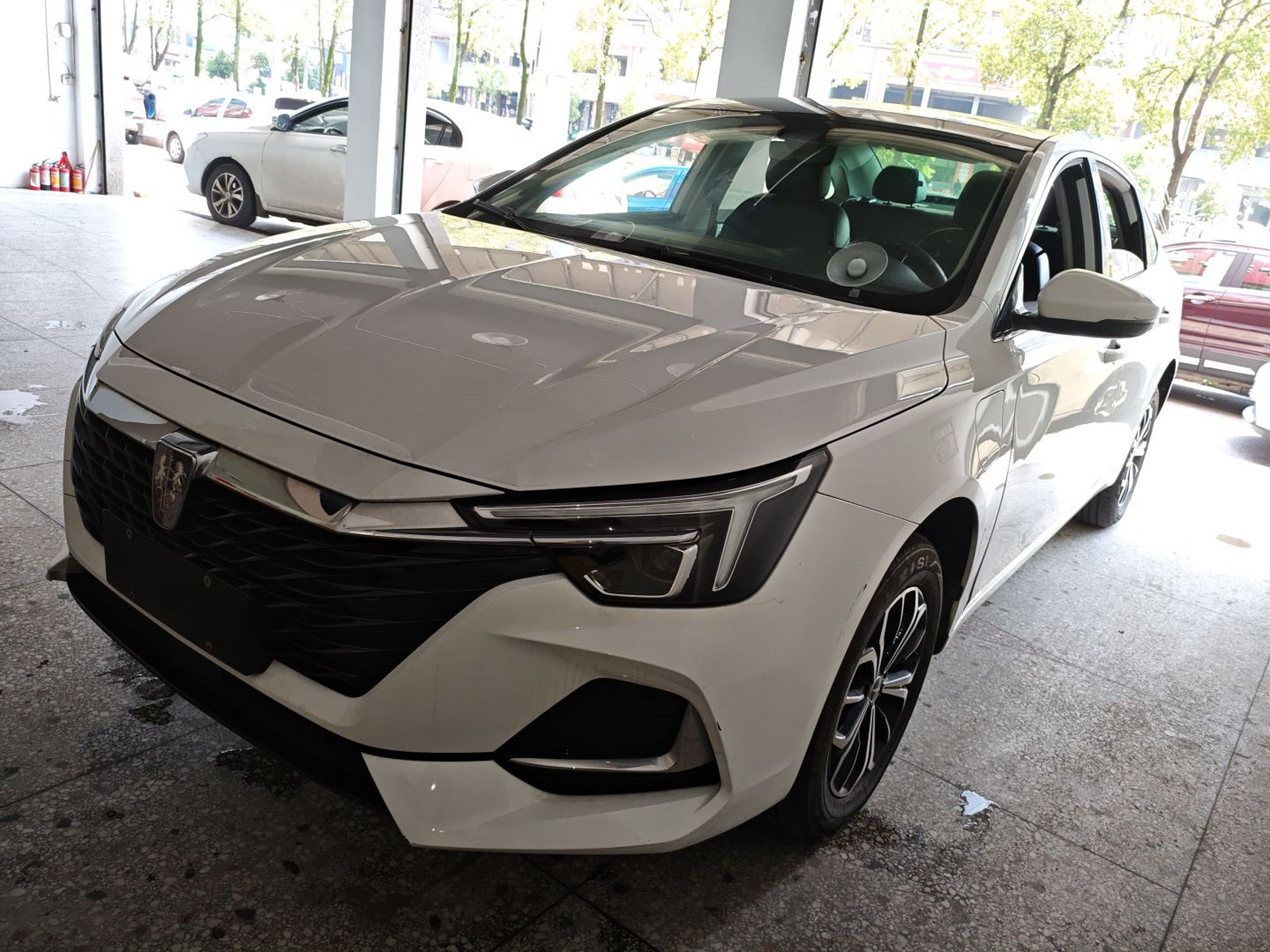 Parte inferior delantera