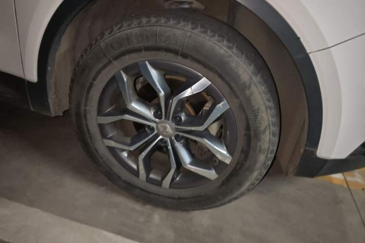 Used BORGWARD BX5 2020 20TGDI Automatic Two-Wheel Drive Pioneer Edition
