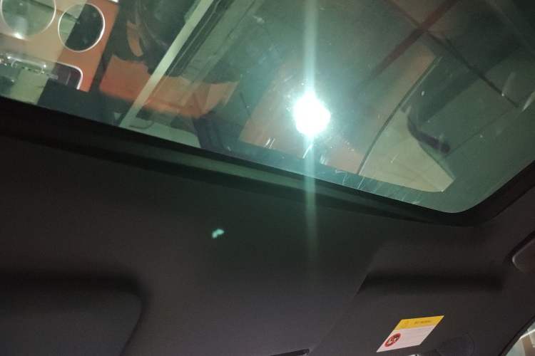 Used Li Auto L9 2022 Max model Headliner