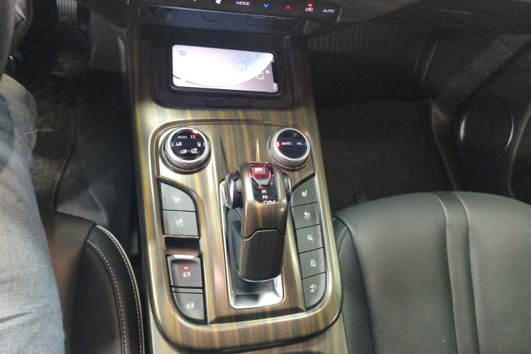 Used Tank 300 2024 2.0T Crosser Gear Lever