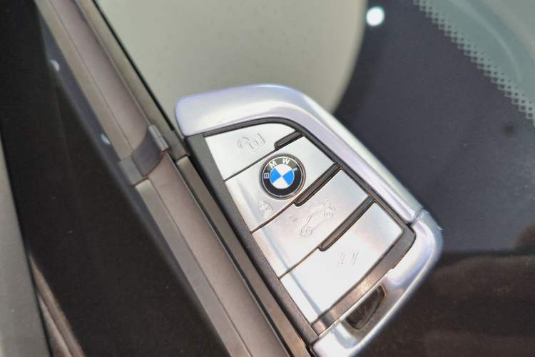 Used BMW 5 Series New Energy 2020 Mileage Upgrade Version 530Le Pioneer Edition