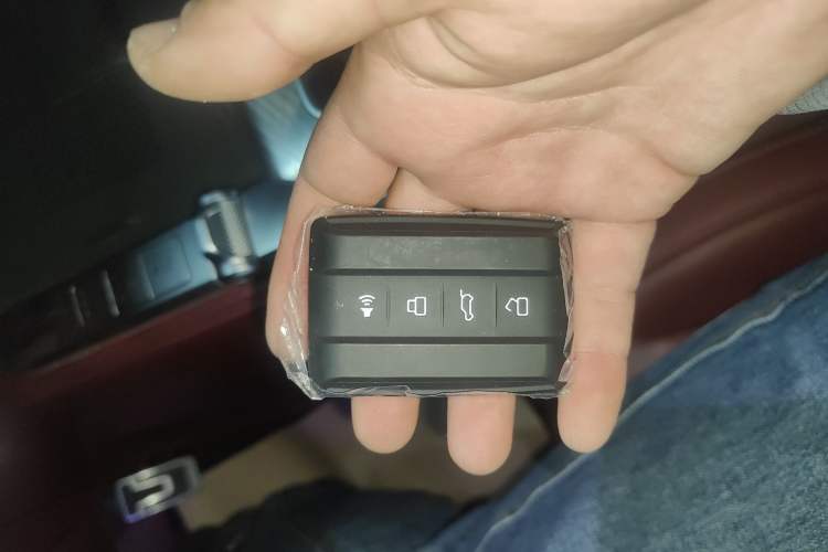 Used Tank 700 New Energy 2024 Hi4-T Extreme Edition