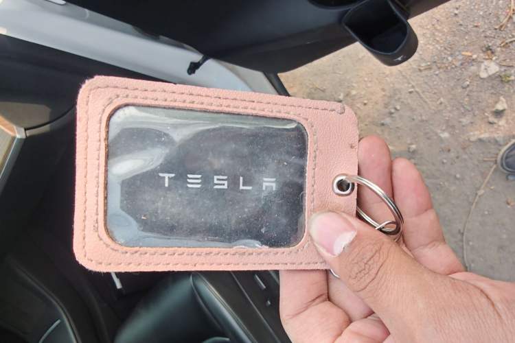 Used Tesla Model Y 2022 Rear-Wheel-Drive Version