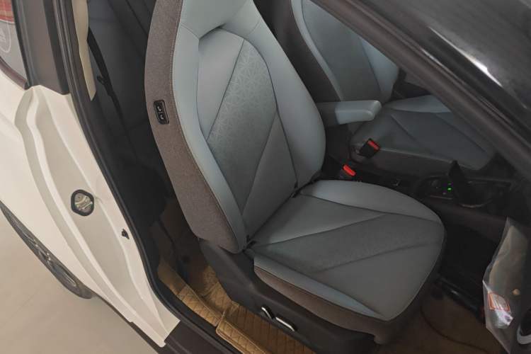 Used Chery Little Ant 2024 251km True Love Edition
