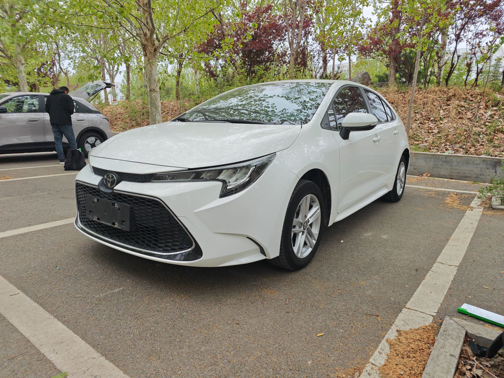 تحت مقدمة السيارة