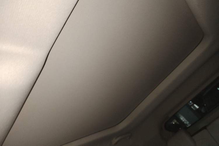 Used ORA Good Cat 2024 401 km Luxury Version Headliner