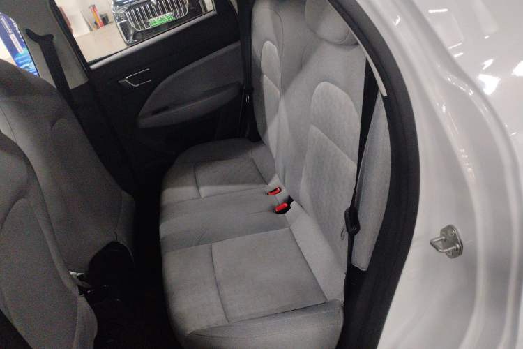 Used Leapmotor T03 2022 Agate Edition Left Rear Seat