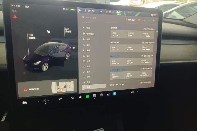 Used Tesla Model Y 2021 Standard Range Rear-Wheel Drive Version
