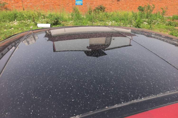 Used Mercedes-Benz C-Class 2022 C 260 L Sport Edition
