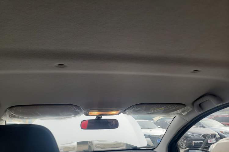 Used SOL E10X 2022 Flower Fairy Design Dandelion