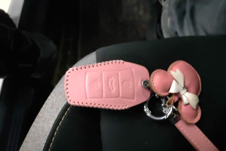 Used SOL E10X 2021 302 km Range Luxury Version 31.4 kWh