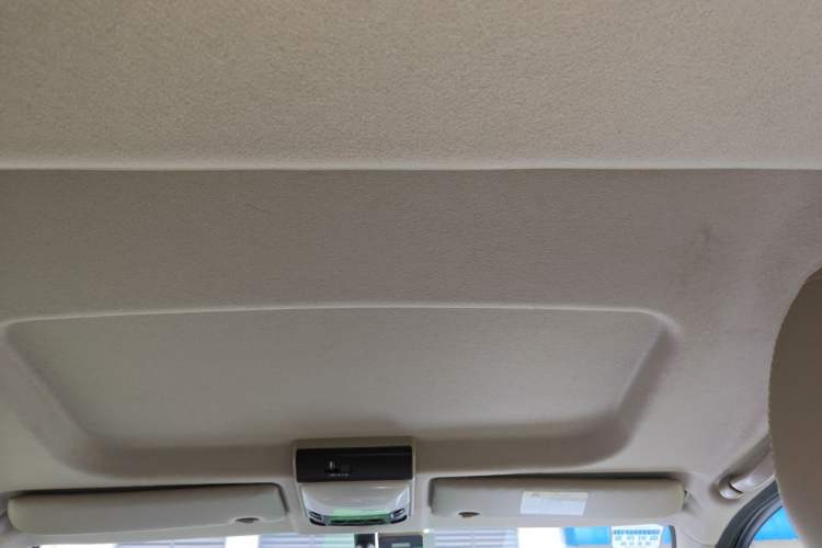 Used FORTHING Lingzhi 2020 M5L 1.6L Luxury 7-Seater Headliner