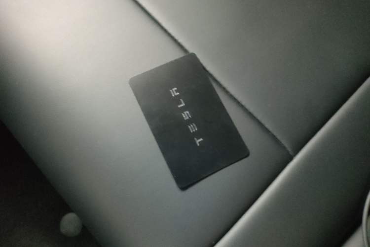 Used Tesla Model Y 2023 Rear-Wheel-Drive Version
