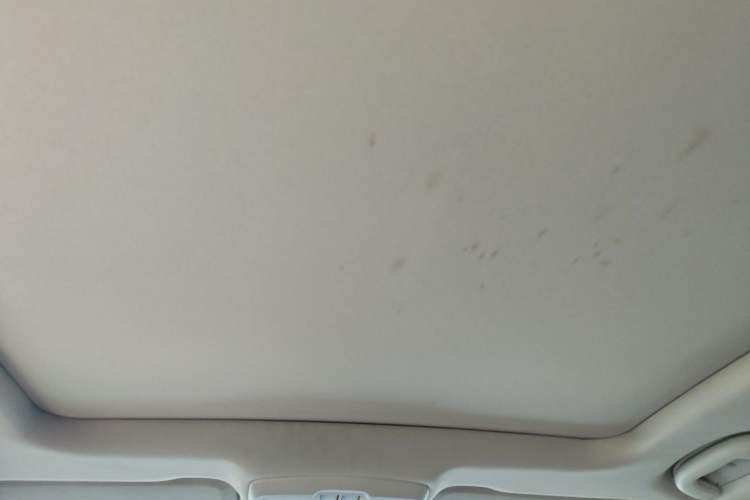 Used Buick Envision 2019 20T Two-Wheel Drive Luxury Version China V Standard Headliner