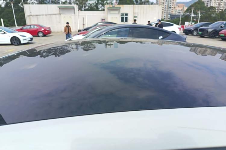 Used Tesla Model Y 2022 Revised Version Rear-Wheel Drive
