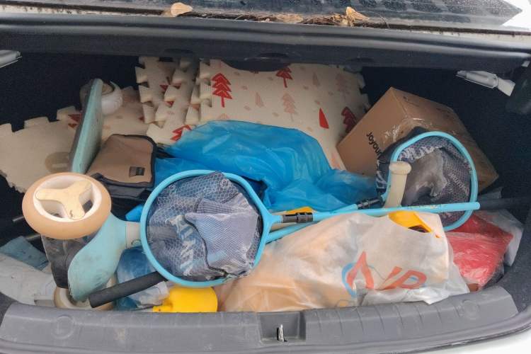 Used BYD Qin Pro New Energy 2018 EV500 Smart Connect Elite Model
