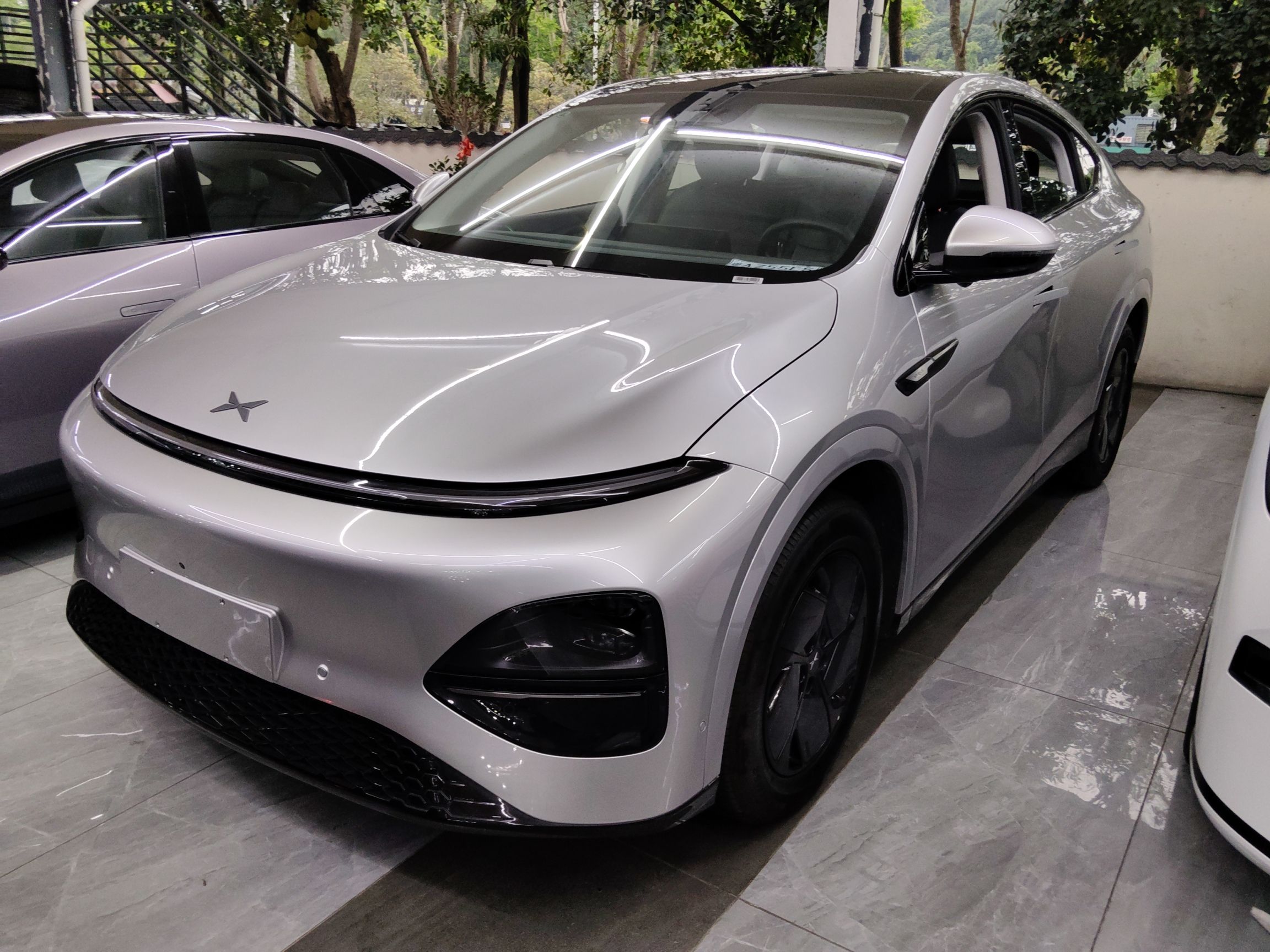 Parte inferior delantera