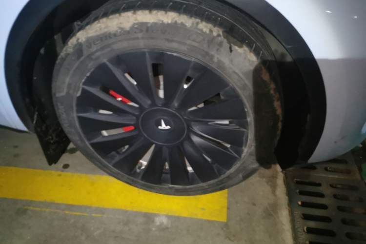 Used Tesla Model Y 2021 Standard Range Rear-Wheel Drive Version